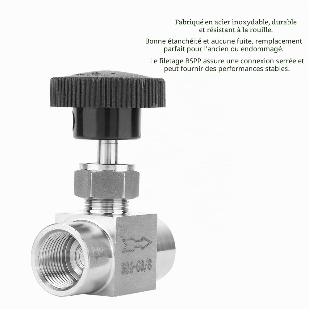 Vanne à pointeau droite en acier inoxydable, poignée noire 3/8 pouces, BSPP, filetée interne, for famille, industrie, automobile, jardin