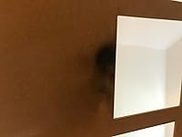 Review Image by Skylar Foster Skylar Foster