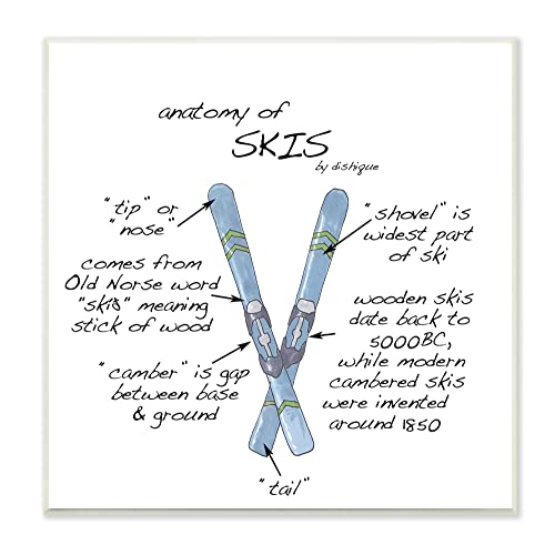 Image of 'Anatomy of Skis Winter Sports Diagram Facts'| Wall Plaque Art | Stupell Industries | 12 x 12 Inches, Easy to Hang and Sturdy, Made in USA, by Dishique