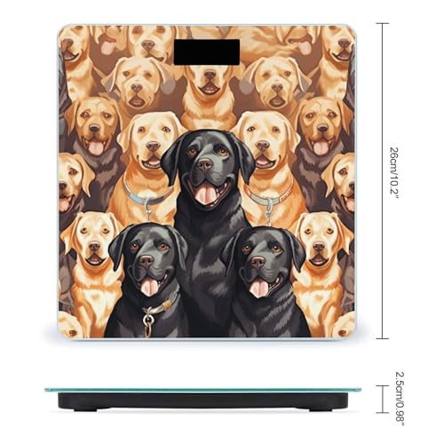 Báscula Digital Precisa con Diseño Labrador Retriever miniatura 2