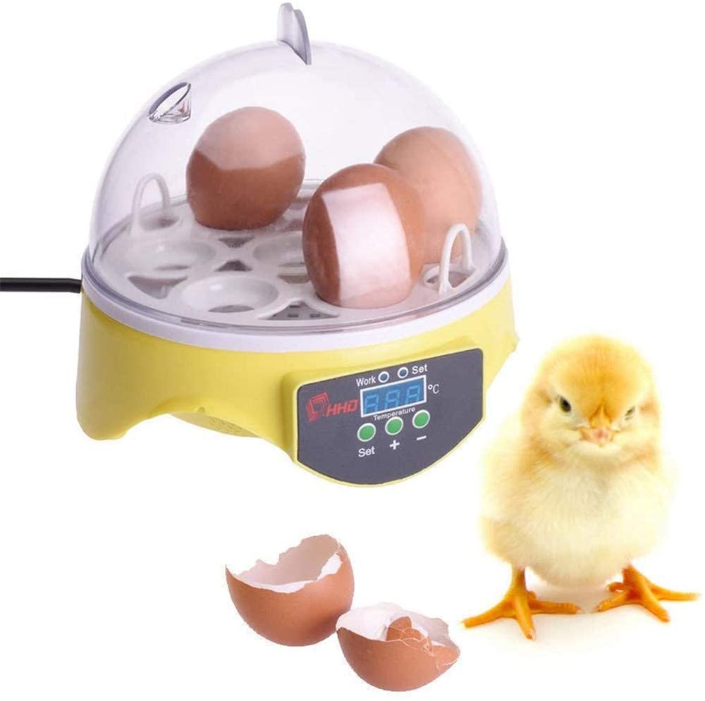 Incubadora digital de huevos totalmente automática, mini incubadora de huevos de pollo, codorniz, pavo, 10 incubadoras pequeñas semiautomáticas, talla única