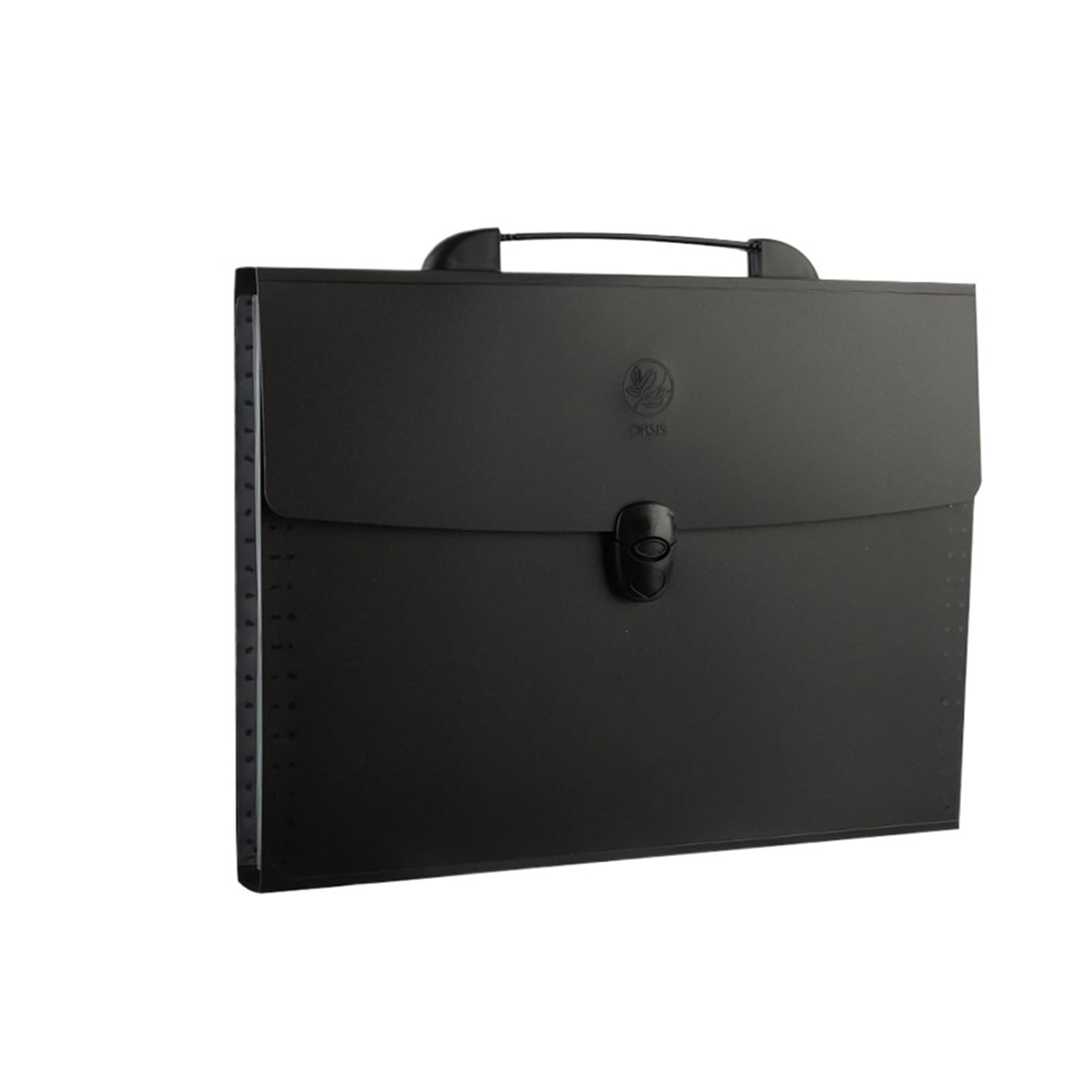 Borse di File Mesh Cartella portadocumenti A4, a strati, elegante, organizer da scrivania for materiale scolastico, ufficio, carta for test, cancelleria(Black)