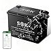 SOK Battery Lithium Iron Phosphate 12V 100Ah Battery,Marine Grade