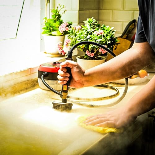 Generic Handheld Pressurized Steam Cleaner, 2500W 1000ml High Pressure Steam Cleaner, Handheld Steamer Cleaning Machine for Kitchen, Couch, Floor and More, 190x150x130mm, white