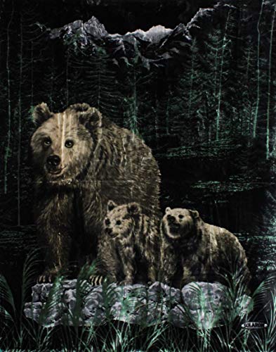 Solaron Korean Super Thick Heavy Weight Mink Blanket (King, Bear And Cubs Green) #TOP1