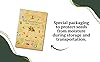 Vegetable Seeds for Planting Vegetables - Variety Salad Pack - Romaine Lettuce - Cherry Tomato - Cucumber - Bell Pepper! #2