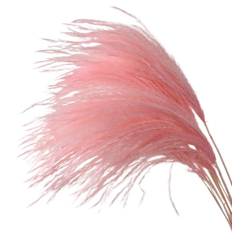 Pampas Grass Boho Decor, pack de 10 multicolor