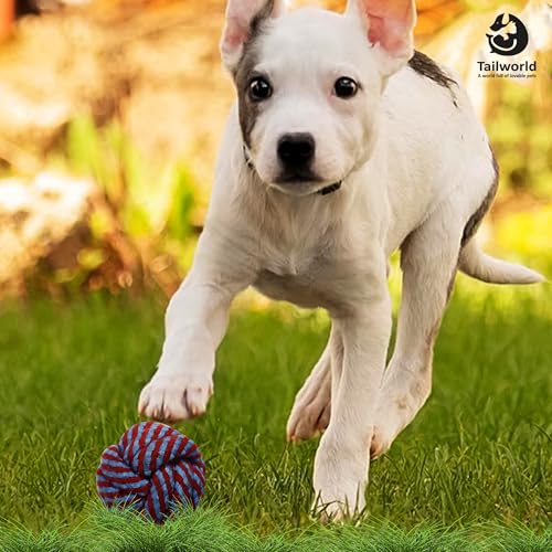 Tailworld Pet Chew Toys, Multicolor, Pack of 5 - Image 6