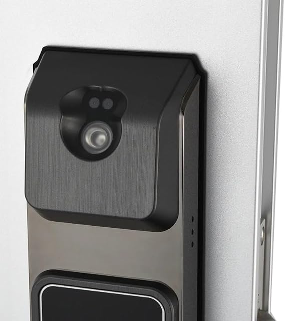 Smart Recognition Door Lock Electronic Keyless Digital Touch Screen for Home(Left Push)
