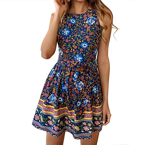 Women's Dress Retro Floral Print Sleeveless Crew Neck Tie Waist Sundress Pleated Hem Summer Casual Beach Swing Mini Dress (Size:M, Sky Blue)