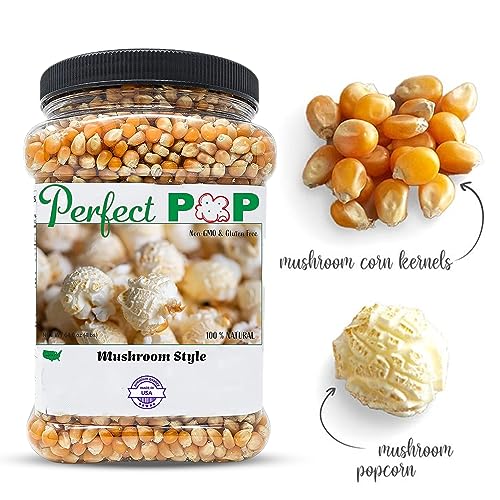Concession Essentials CE-KERNELS MUSHROOM-64 Premium Gourmet Mushroom Extra Large Popcorn Kernels thumb #2