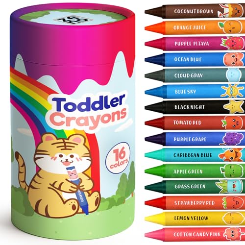 ZENO([m) W{N (16F) - Ő \ ₷ cq - sAwKAnIȗVтɍœK