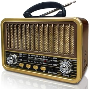 Blimyswe Retro Radio mit Bluetooth Gold