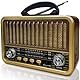 Retro Radio mit Bluetooth, AM/SW/FM Tragbares Radio Klein, UKW Radio Batteriebetrieben Unterstützung TWS/USB/TF Karte/BT 5.0 Funktion, Vintage Küchenradio für Küche, Schreibtisch, draußen (Gold)