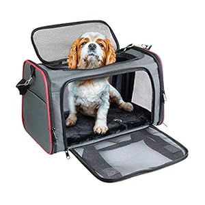 GOOPAWS Soft-Sided Pet Travel Carrier, Airline Approved Cat Carriers Dog Carrier Collapsible, Durable, Top Loading, Car Seat for Dogs and Cats and Small Animal, 19