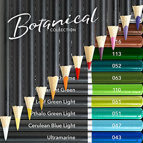 Castle Arts Themed 24 Colored Pencil Set in Tin Box, perfect colors for ‘Botanical’ Art. Featuring, smooth colored cores, superior blending & layering performance for great results