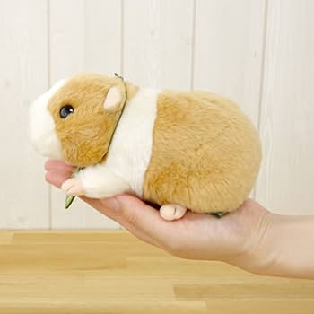 【本日発送可能◎】 モルモット ぬいぐるみ 廃盤【お値下げ◎】 Amazon.co.jp: potte モルモット ぬいぐるみ : おもちゃ