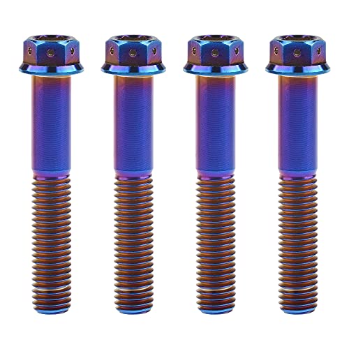 Tornillos de cabeza hexagonal de titanio M10 en azul quemado pack de 4 unidades