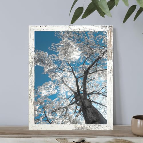 Image of BESCRCL 18x24 Poster Frame for Wall Hanging, Engineered Wood Picture Frames for 18 x 24 Picture, Distressed White, 1 Pack