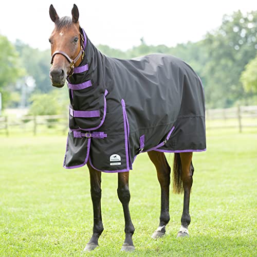 Professional's Choice Black Equisential 600D Turnout Blanket- 250G