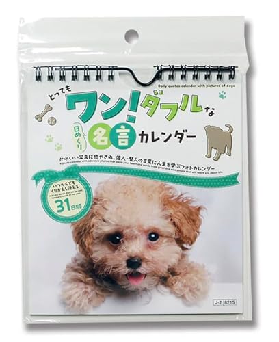 2026N ƂĂI_tȓ߂薼J_[/̂킢ʐ^ƈ̐ľtŖwׂ tHgJ_[