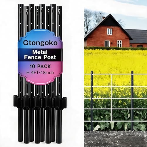 Gtongoko 4 Feet Heavy Duty Metal Fence Posts, 10 Pack U Channel Fence Post with Anchor Plate, Black Steel T Post for Garden, Yard, Farm, Wire Fencing