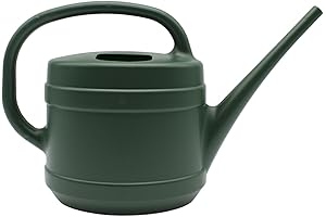 Small Water Can for Indoor Outdoor Garden Plants