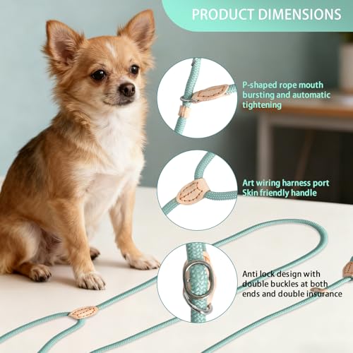 Rieoany Retrieverleine mit Zugstopp, 180 cm Hundeleine aus Polyester, Anti-Zieh Schleppleine für Hunde, Leichtes Führungsleine für Training Spaziergang, Cyan