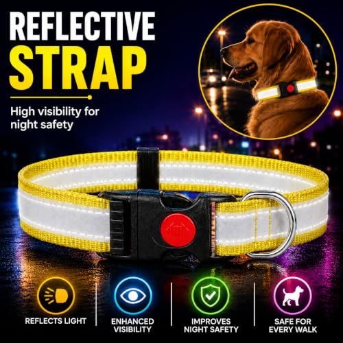 Image of Reflective Dog Collar, Quick Release Buckle, Adjustable Size | for 14-23 Kilograms Dogs (M, Yellow)