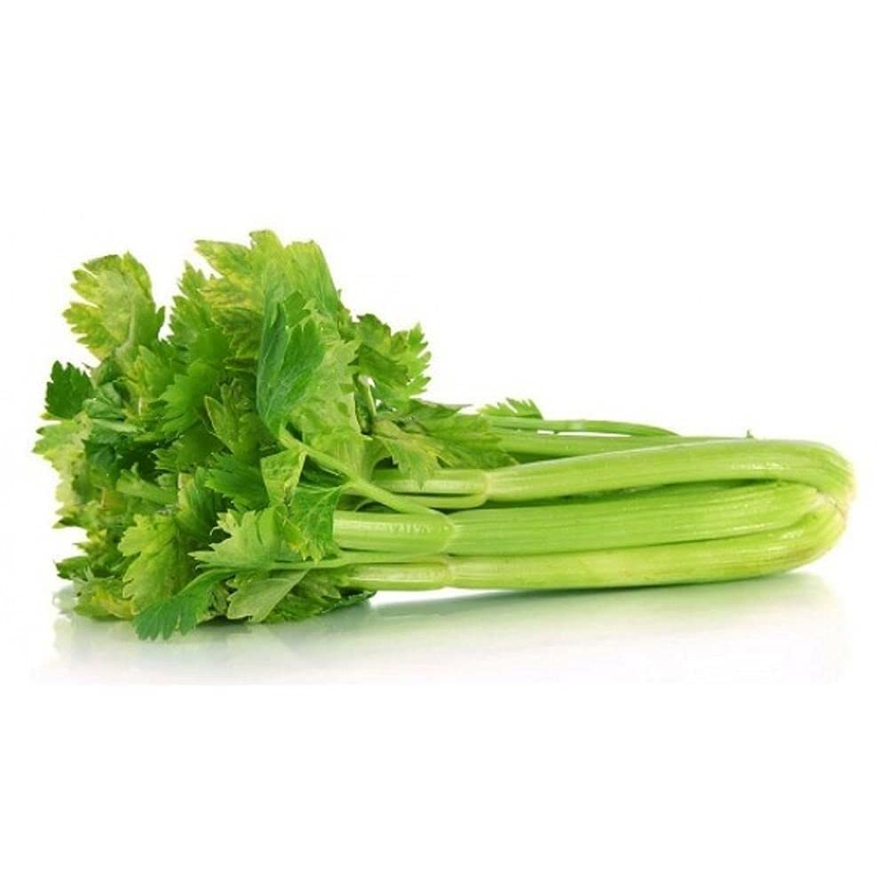 LIVE GREEN Vegetable Seeds | Celery F1 Hybrid Seeds For Home Gardening (20 seeds pack) (B09BVJB1GB) Amazon Price History, Amazon Price Tracker