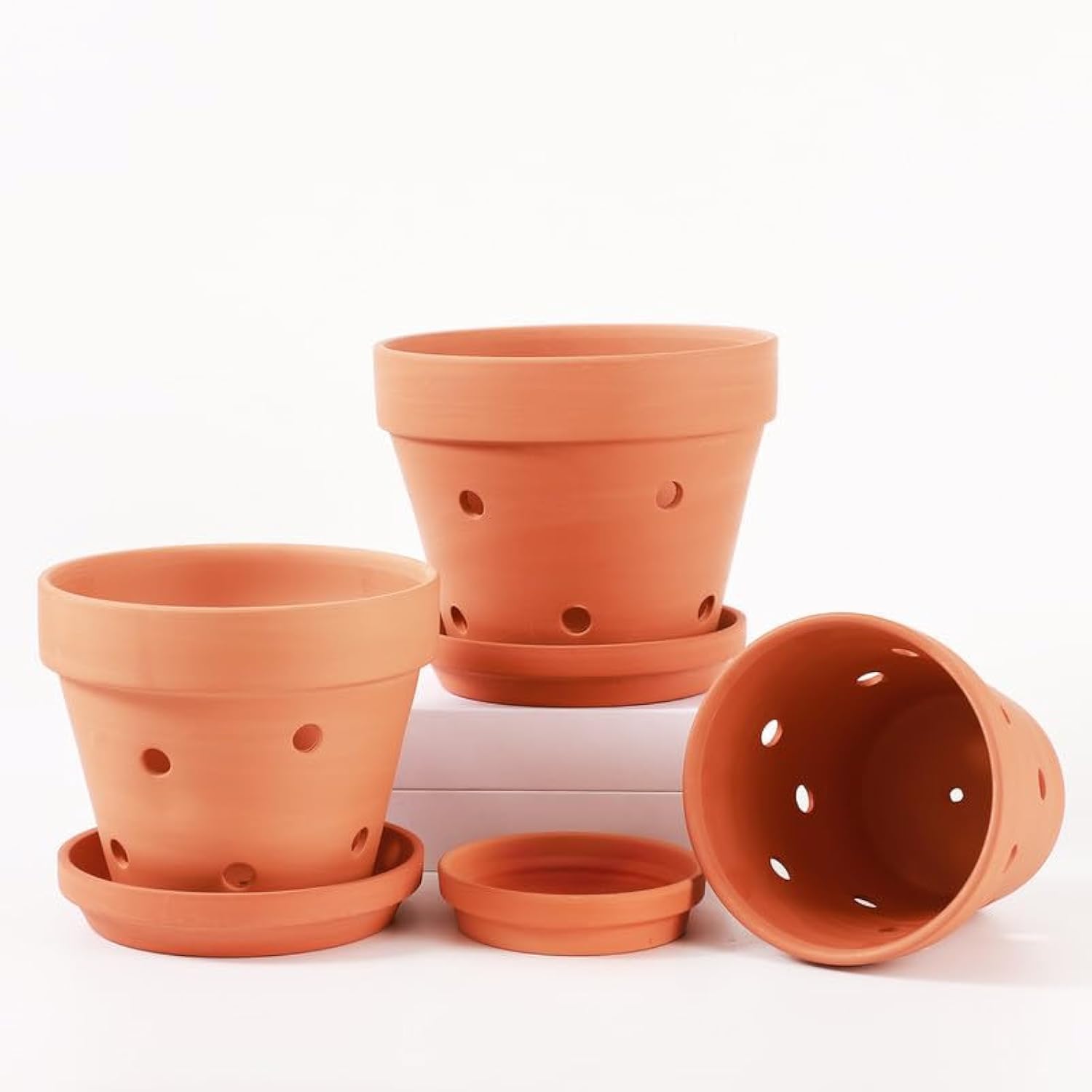Amazon.com: 6-Pack Terra Cotta Plant Pots Variety Set: 4 Medium & 2 ...