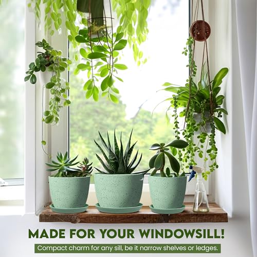 image for Utopia Home - Spotty Plant Pots Indoor with Drainage - 7/6.6/6/5.3/4.8