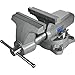Wilton Mechanics Pro Bench Vise, 8