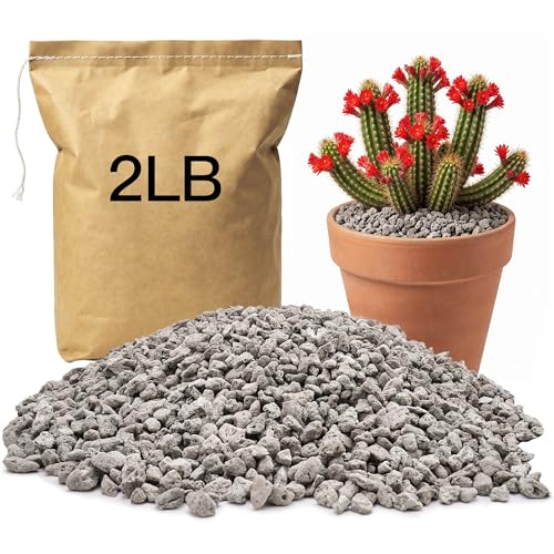 NIPUCK 1/4 2LB Pumice for Plants Indoor Succulent Cactus Landscaping