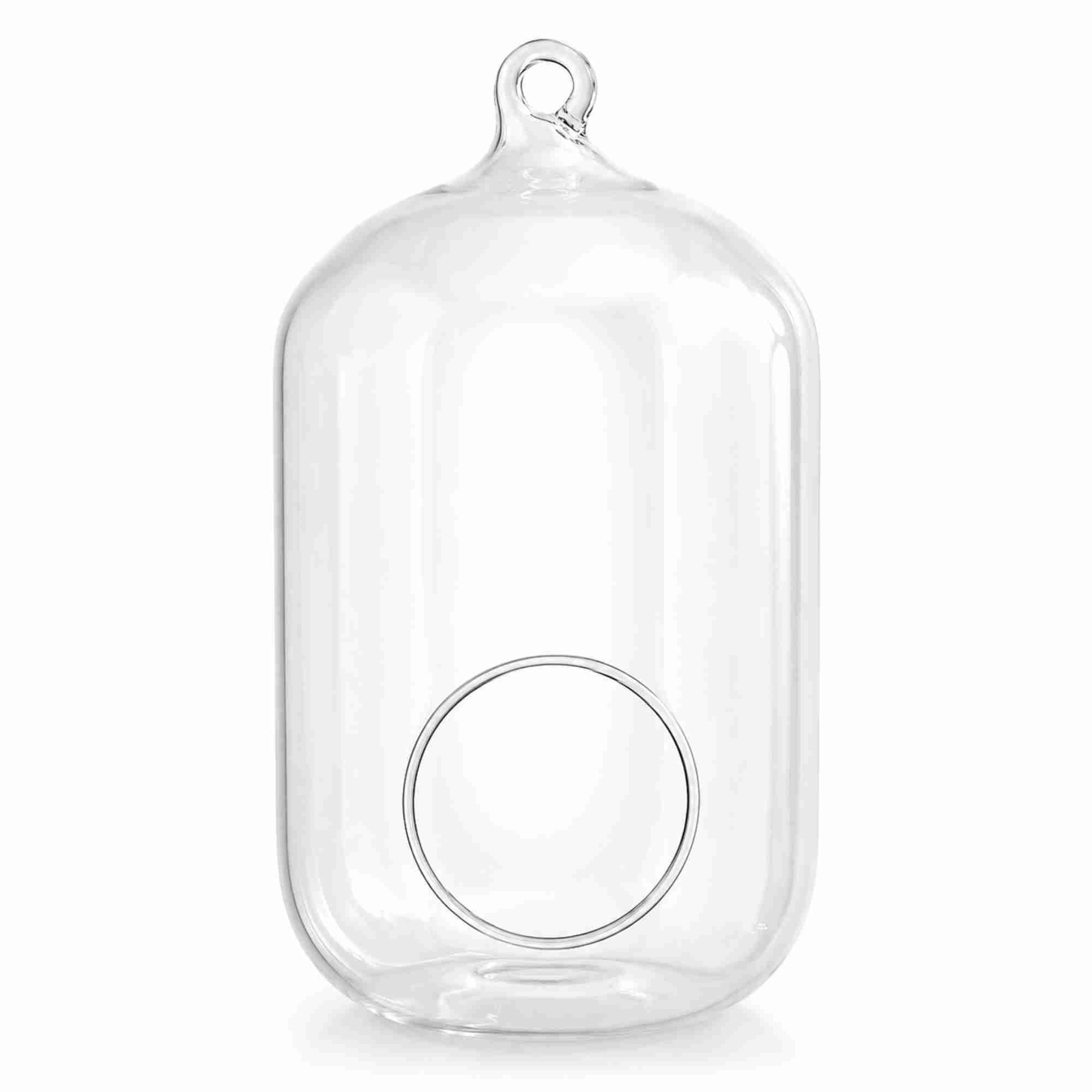 Hariji Glass Products Capsule Shape Hanging Terrarium Cum Candle Holder | 7 Inch Clear Borosilicate Glass Vase Lantern | Modern Home Decor for Plants, Tealight Candle, Balcony & Living Room-image-32