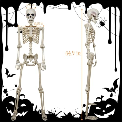 Image of breesky Skeleton for Halloween Life Size: 5.4ft Realistic Human Skeleton