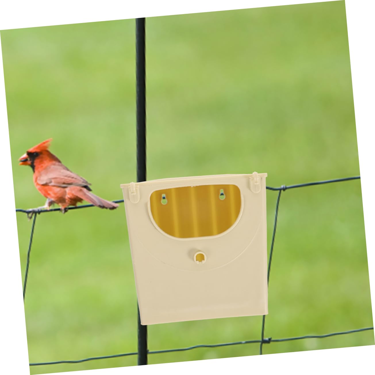 BESPORTBLE 15 Piezas Caja de cría de Aves Caja de Nido de Aves pequeñas Caja de Nido de Aves Tropicales Jaula para Loros Nido para Dormir Nido de pájaros de plástico el plastico