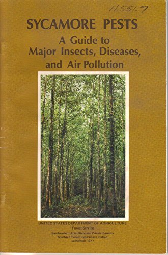 Sycamore Pests: A Guide to Major Insects, Diseases, and Air Pollution