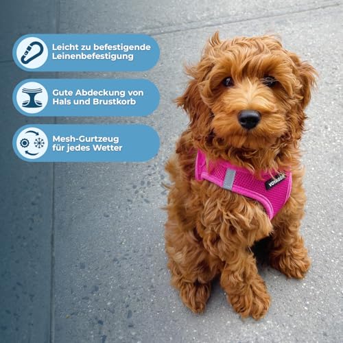 Voyager Step-In Air Hundegeschirr by Best Pet Supplies - All Weather Mesh Step in Vest Harness für kleine und mittlere Hunde, Fuchsia, size S - Brust 37-40 cm