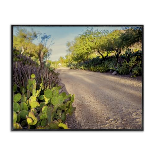 Roadside Cactus Botanical Landscape, 16 x 20 Inch Framed Giclée Print
