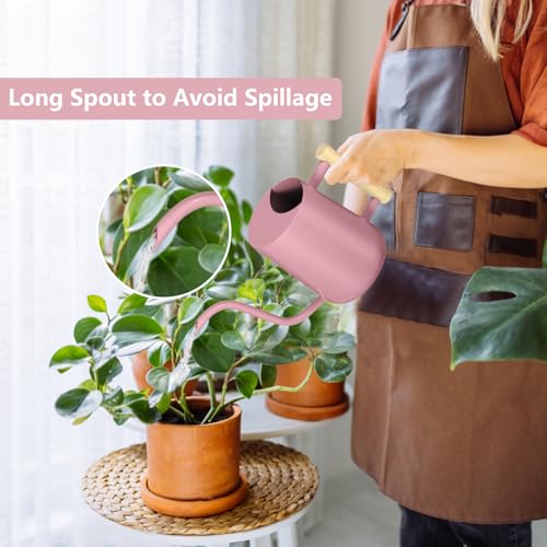 Image of Watering Can Indoor Plants, 35oz Small Indoor Stainless Steel Metal Watering Can Modern Decorative Watering Pot with Long Spout for Indoor House Plant Bonsai Garden Flowers (Pink)