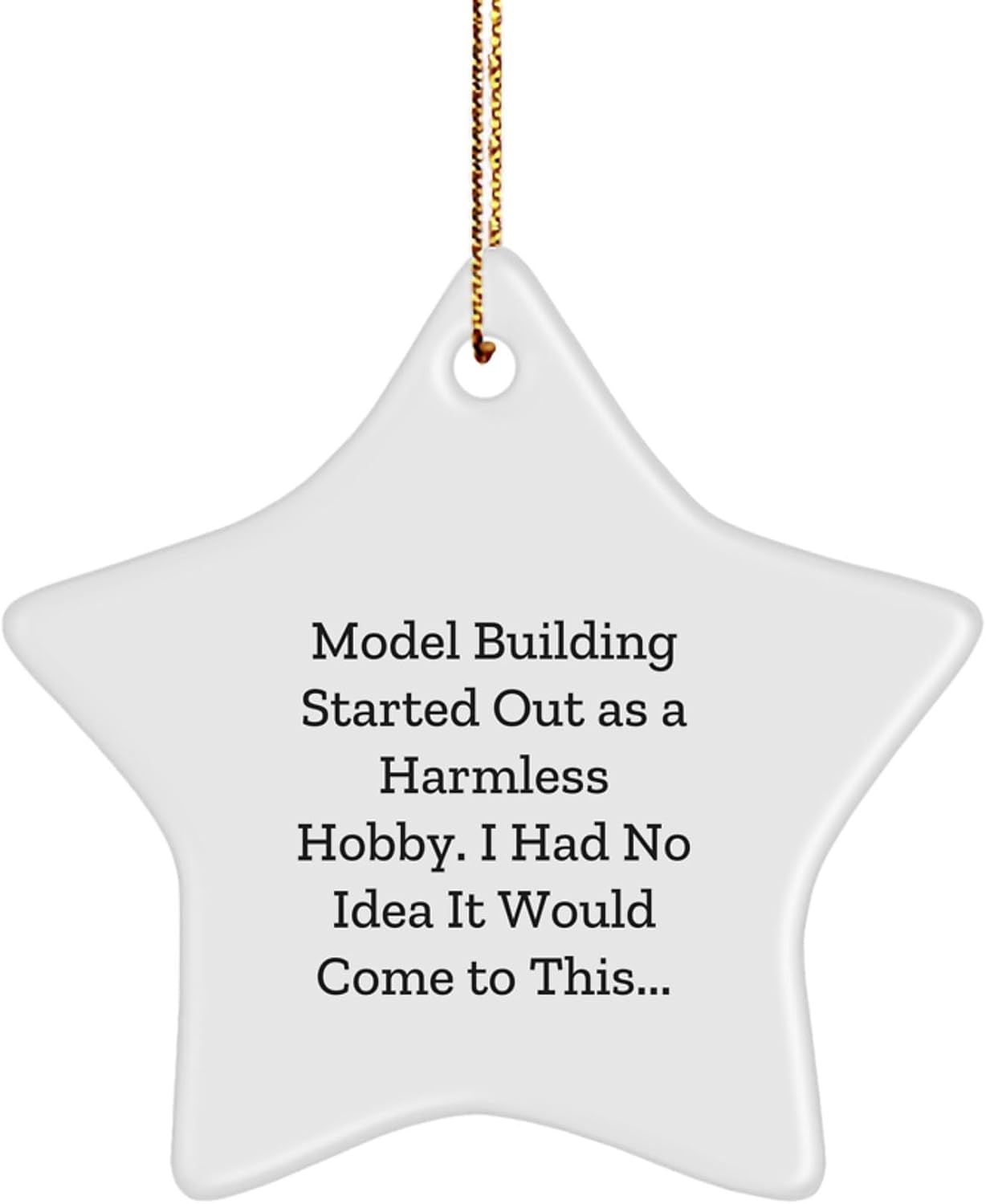 Funny Model Building Gifts for Men, Women, and Friends - Cute Star Ornament, Model Building Started Out As A Harmless Hobby Gifts from Family, Christmas Unique Models