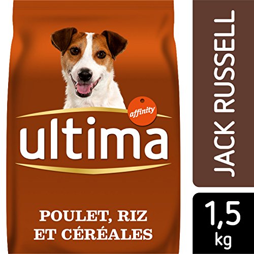 Ultima Jack Russell Formel Trockenfutter 1,5 kg