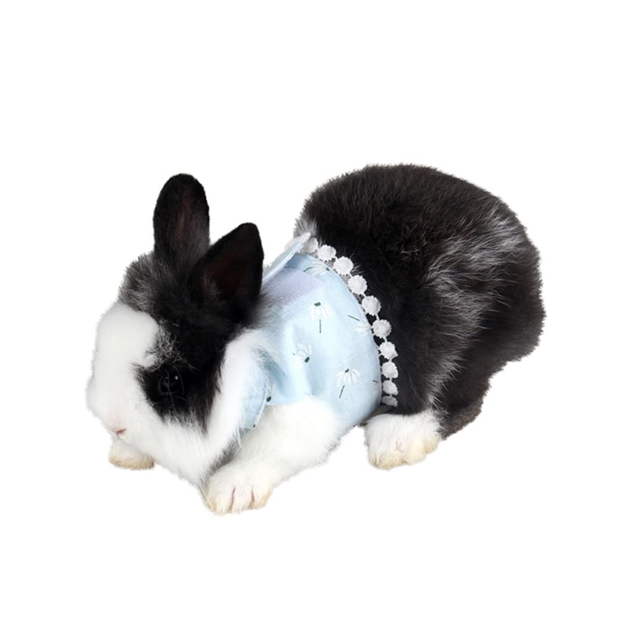 Housoutil 3stücke Pet Chest Für Kleine Tiere Einstellbare Leine Blau Für Kaninchen Meerschweinchen Und Mehr Komfortable Brustgeschirr-lösung Für Sicheres Ausführen