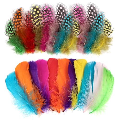 SUNRIZ Federn zum Basteln, 300 Stück Natürliche Gänsefedern 8-12cm, Feder für Traumfänger, Hochzeit Deko, Fasching, Ostern, Masken, Schulhandwerk