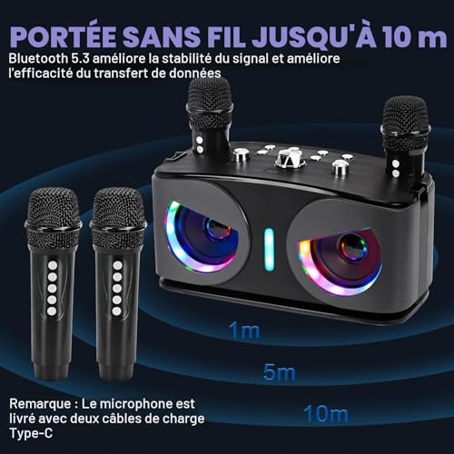 Machine de karaoké avec 2 micros sans fil et connexion Bluetooth portable
