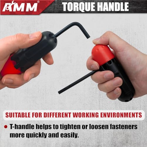 AMM 31-Piece Hex Key Wrench Set