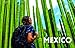 Lonely Planet's Best in Travel 2024