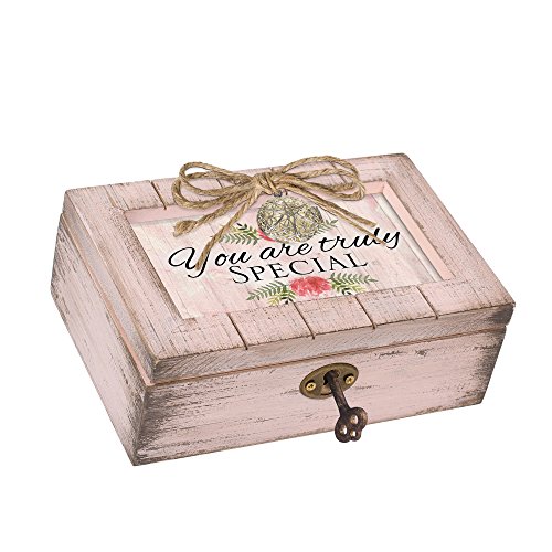 Cottage Garden You are Truly Special Blush Pink Locket Petite Music Box Plays
