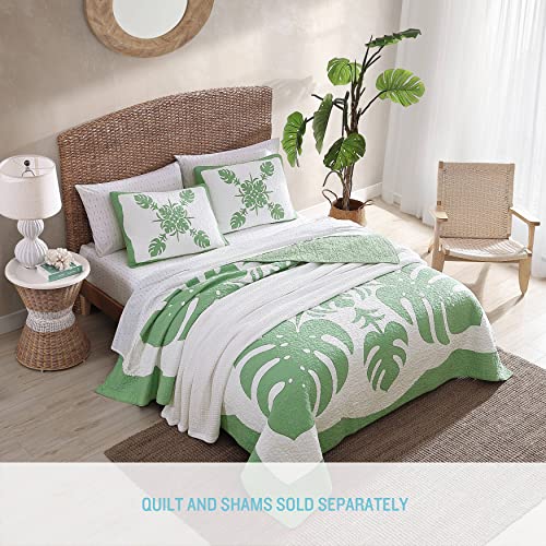 Funda estándar de algodón verde Molokai Tommy Bahama para almohada de dormitorio 5